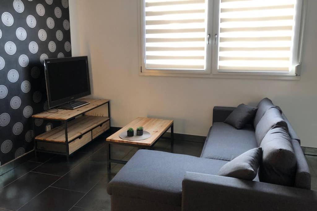 F2 Au Calme, Proche Gare, Center Parc, Sainte Croix Appartement Sarrebourg Buitenkant foto